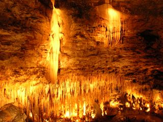 Grottes préhistoriques et musées de Dordogne